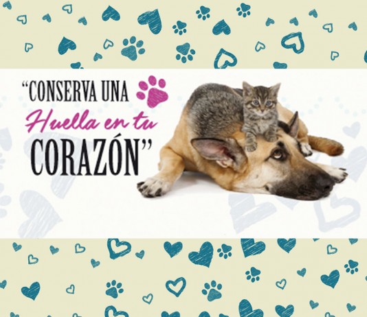 conserva-una-huella-en-tu-corazon-udenar-periodico