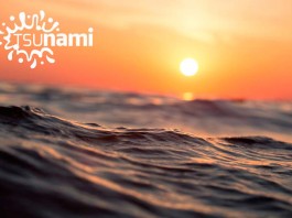 tsunami-año-nuevo-udenar-periodico