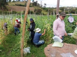 maestria-ciencias-agrarias-udenar-periodico
