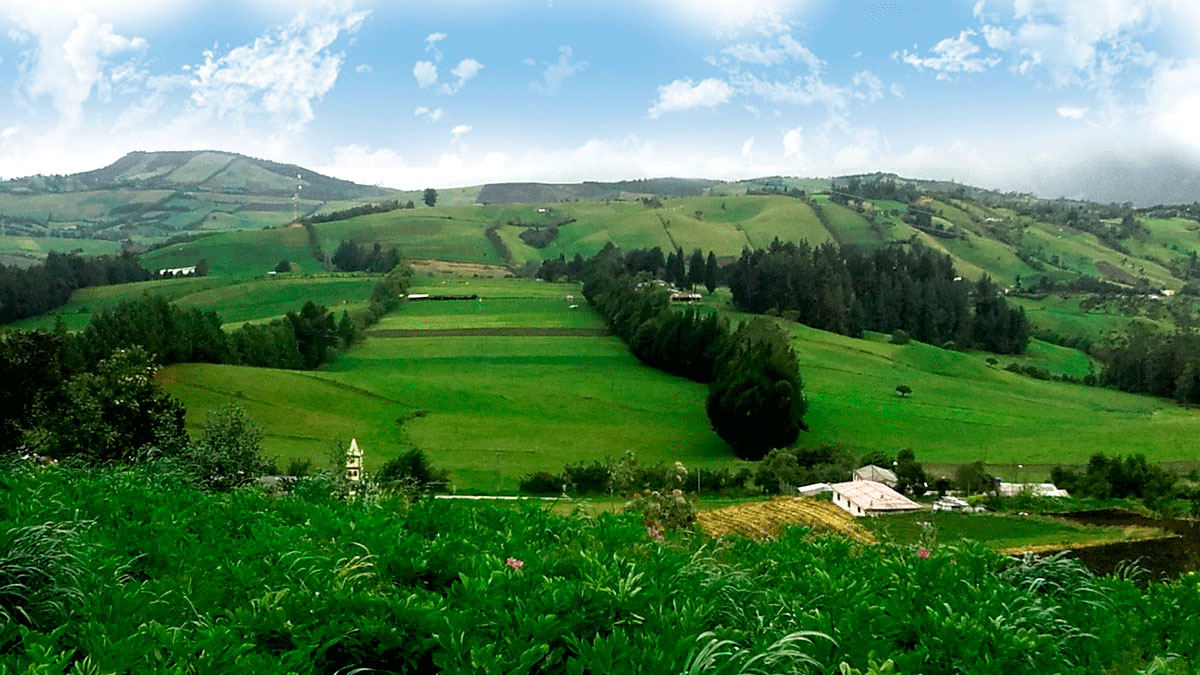 Maestría en Agroforestería Tropical – Tumaco