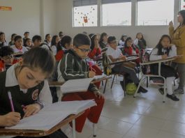 https://periodico.udenar.edu.co/wp-content/uploads/2018/04/liceo-de-bachillerato-universidad-de-narino-udenar-periodico.jpg