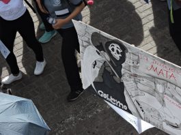 la-indiferencia-mata-udenar-periodico-