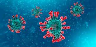 https://periodico.udenar.edu.co/wp-content/uploads/2020/03/coronavirus.jpg