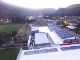https://periodico.udenar.edu.co/wp-content/uploads/2020/05/proyecto-campus-verde-1.jpg